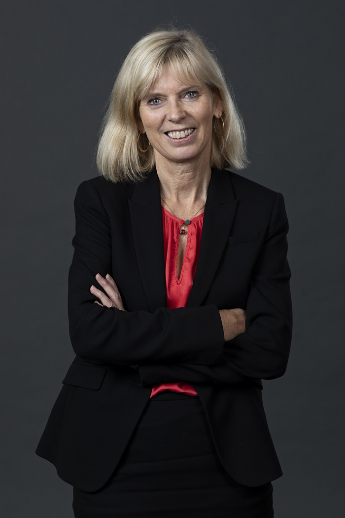 Anette Moll Berg, Advokat & Director