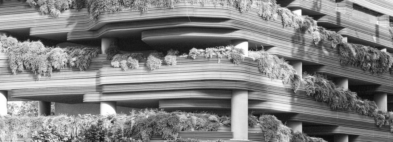 Building_Green_Facade_P_0087_5.jpg