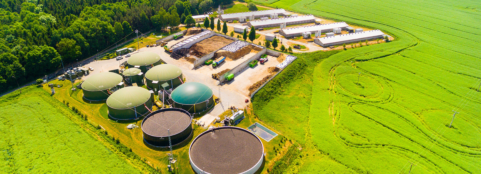 Biogas plant