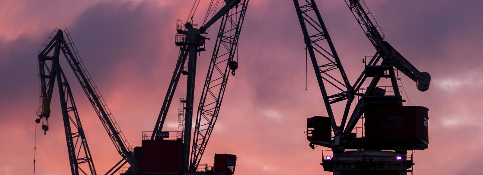 Crane