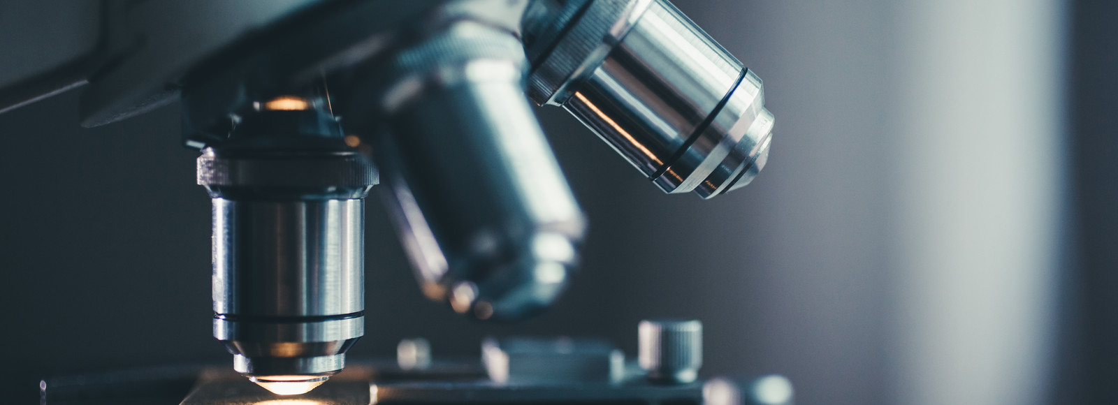 Microscope