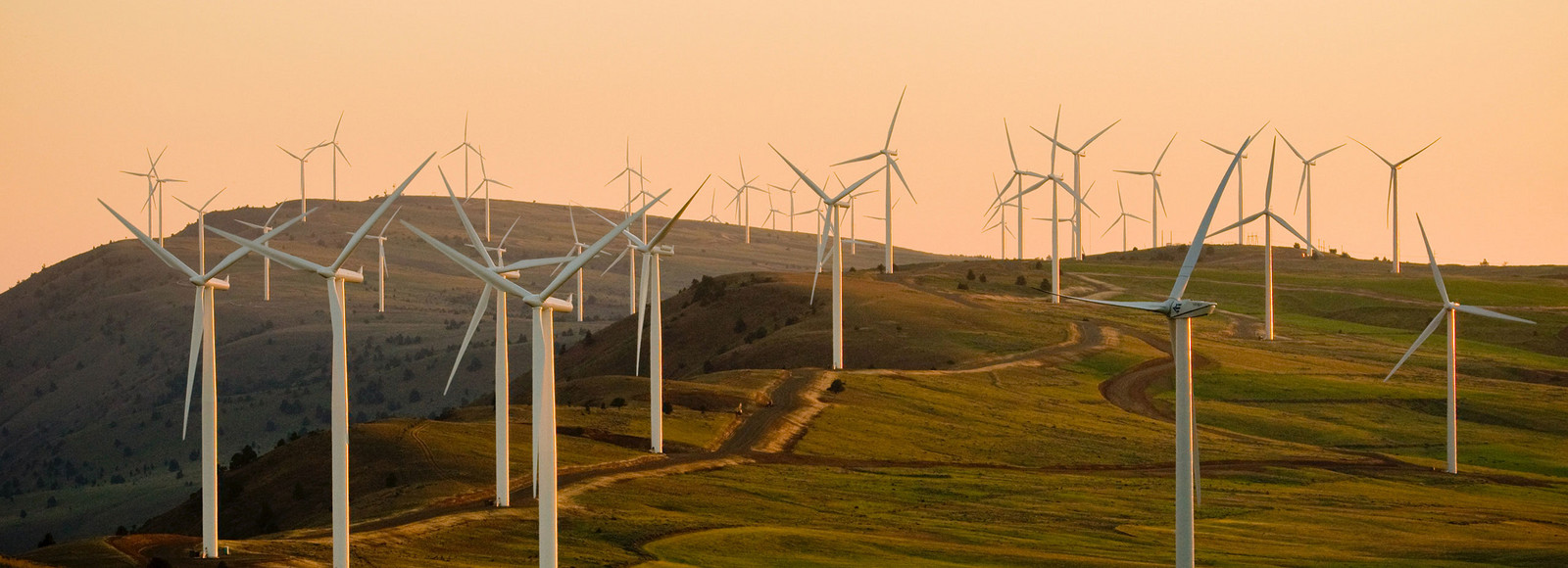 Wind turbines at sunset
